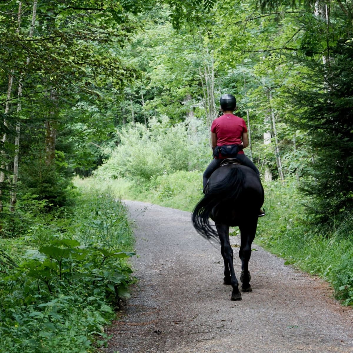 Complete trail ride