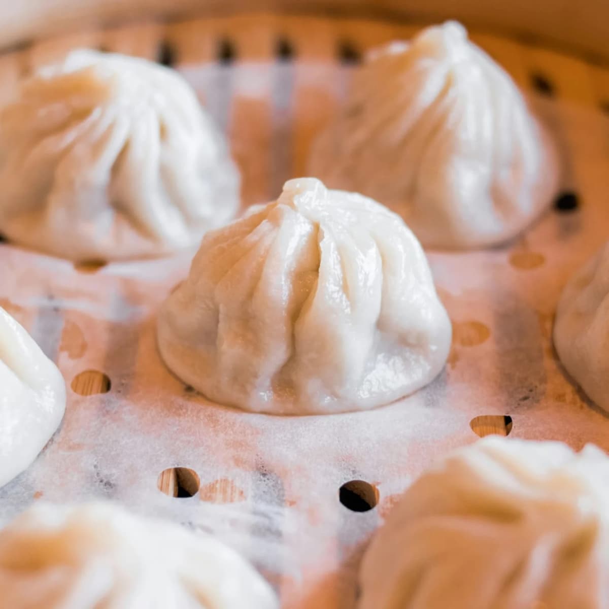 Eat an authentic dim sum