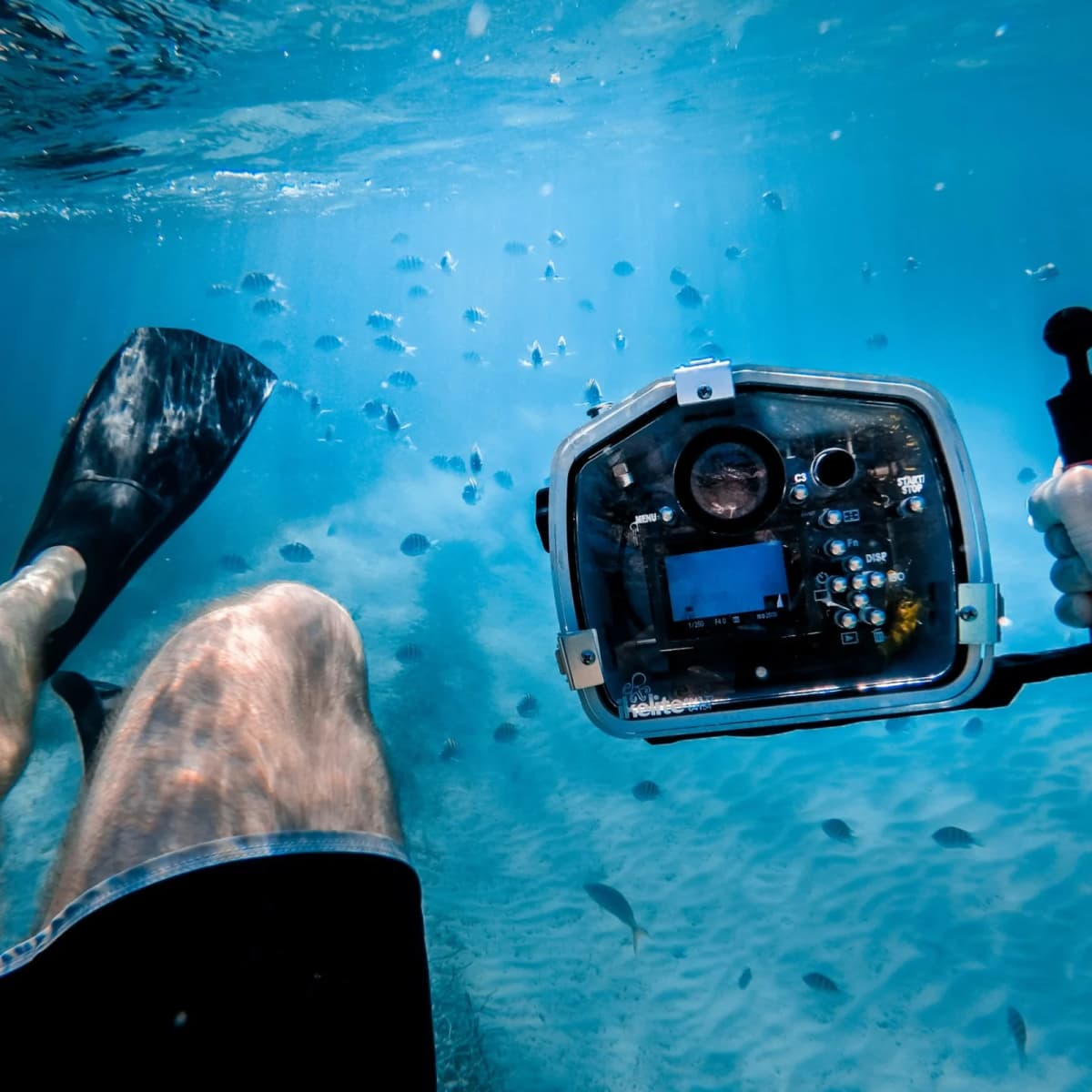 Create underwater photography