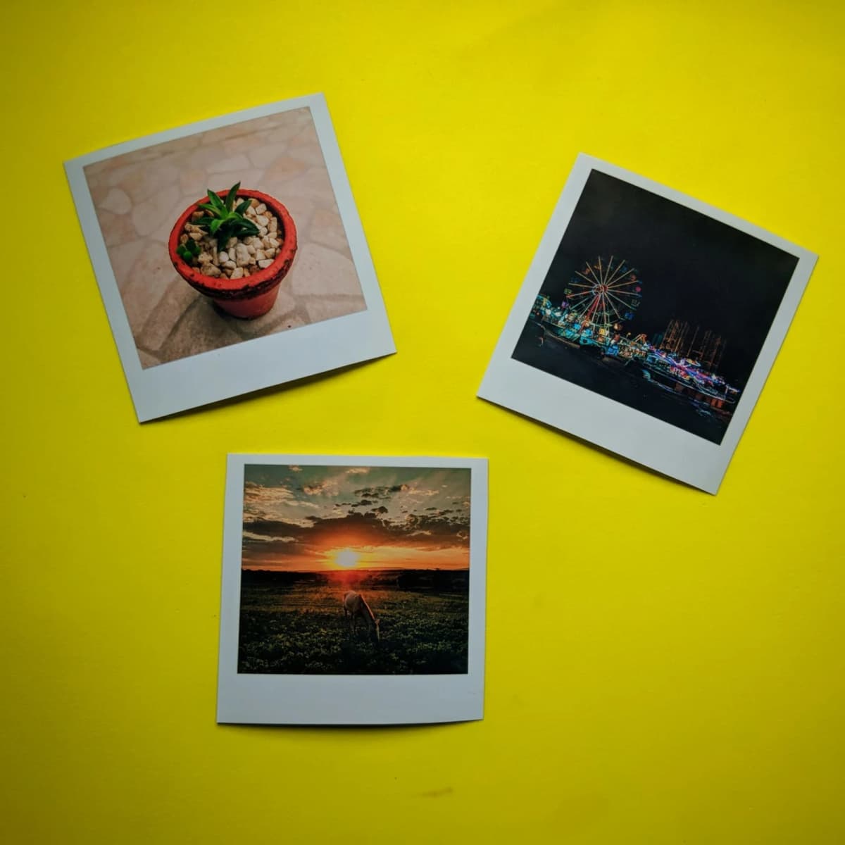 Create a photo essay