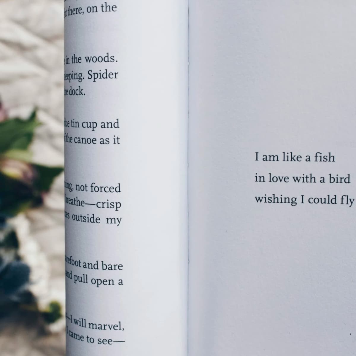 Create a poetry collection