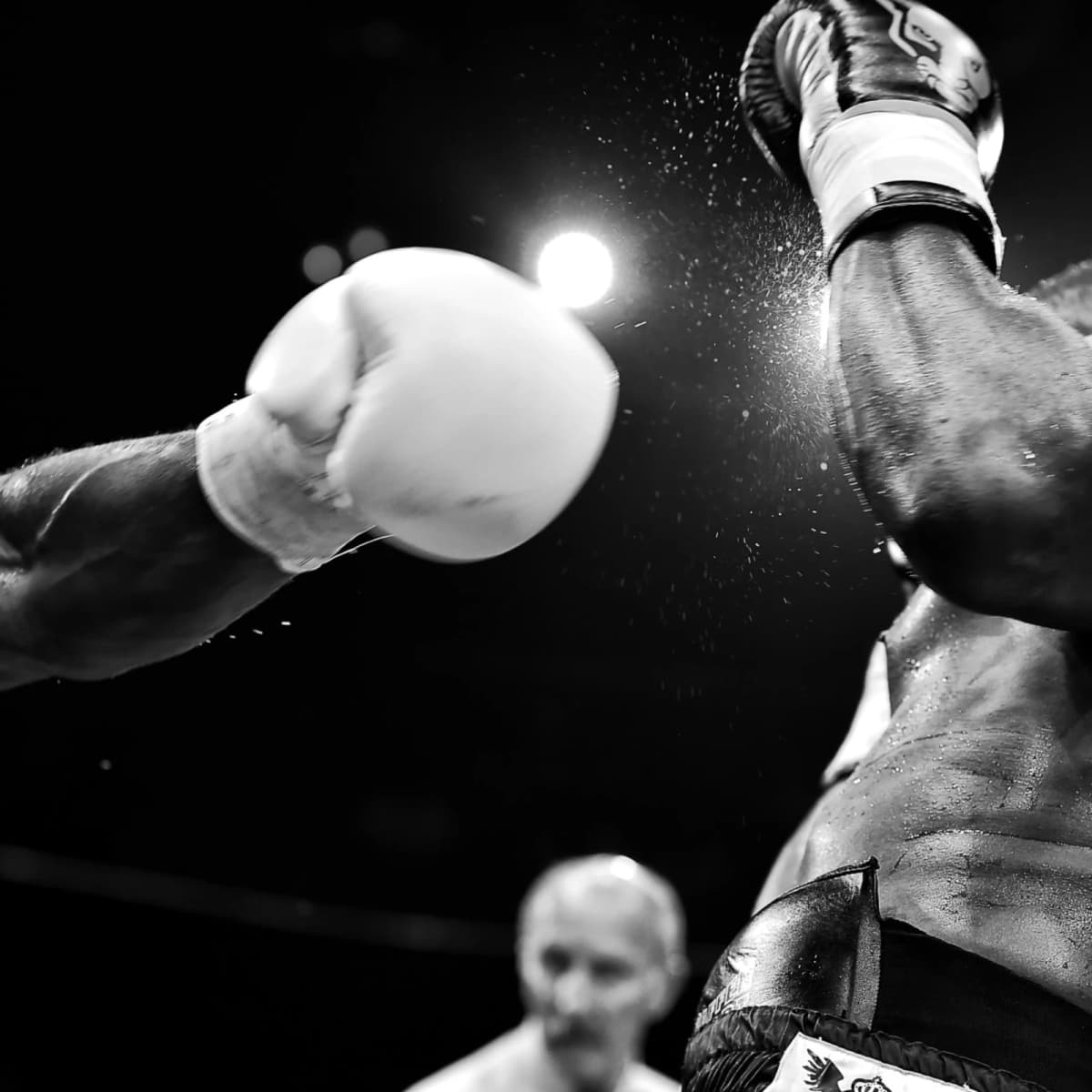 Attend the professional boxing match