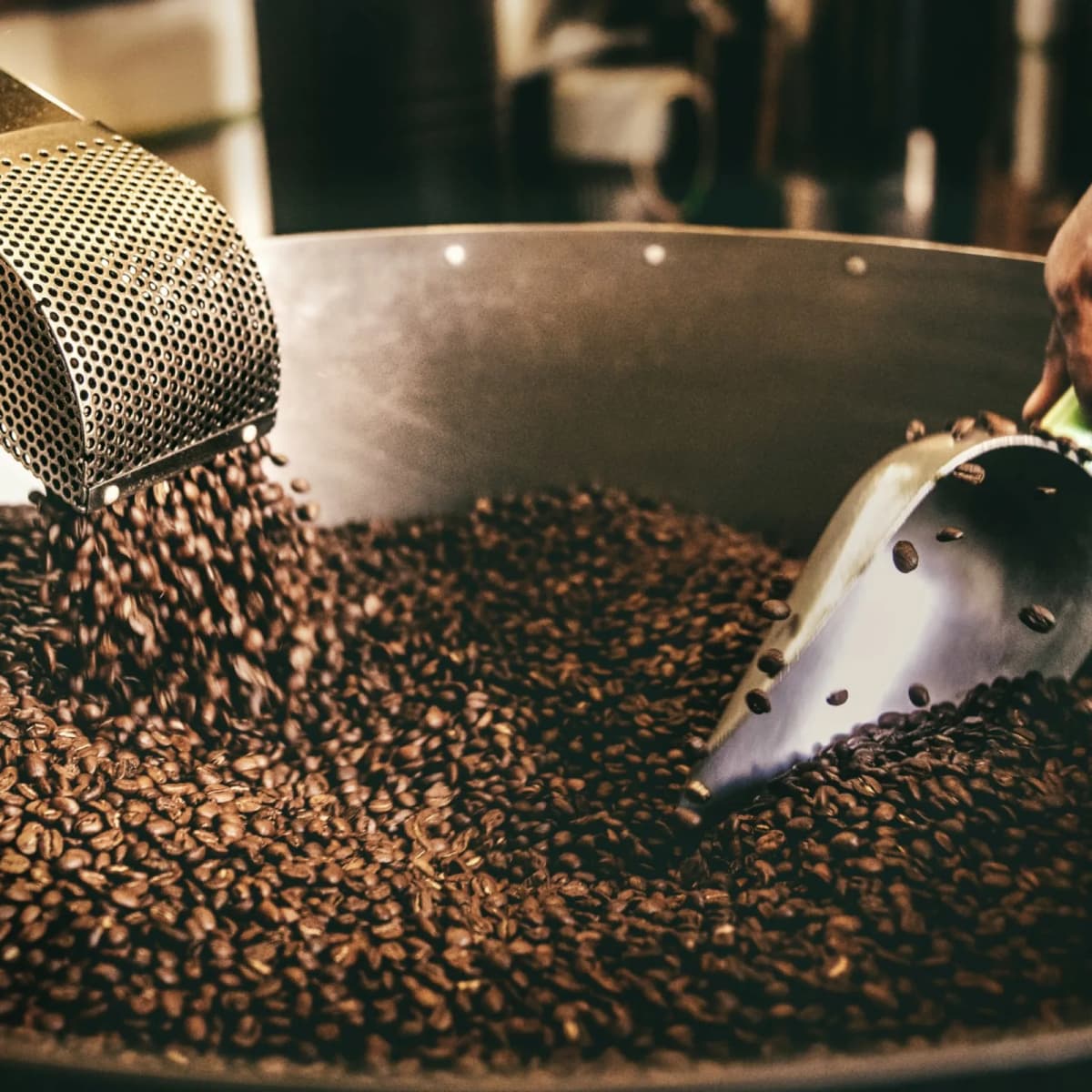 Learn coffee roasting