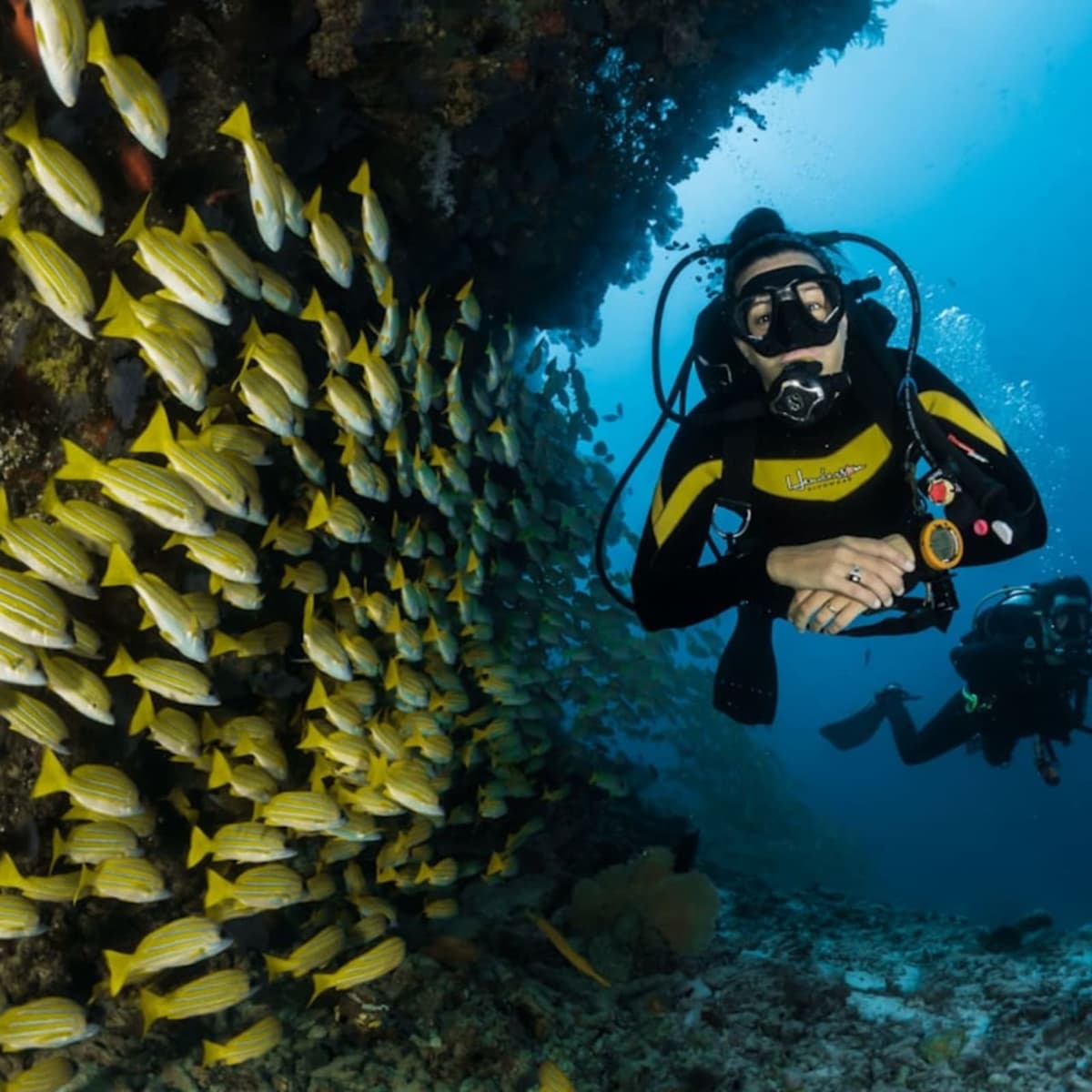 Learn scuba diving