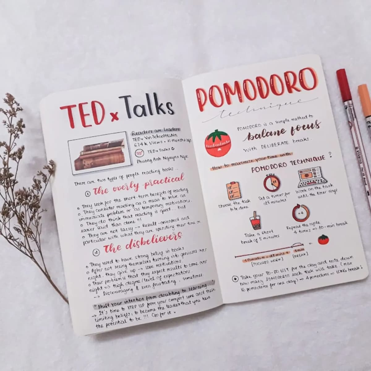 Give a TEDx talk
