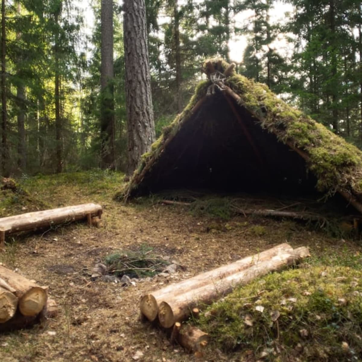 Complete survival training