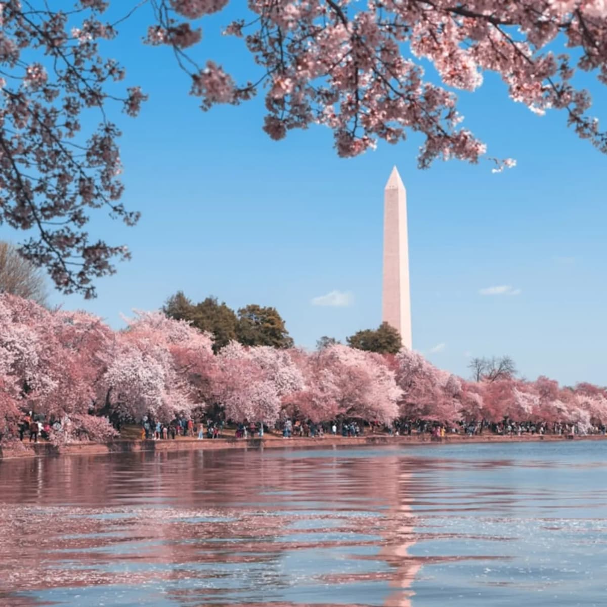 Visit Washington DC
