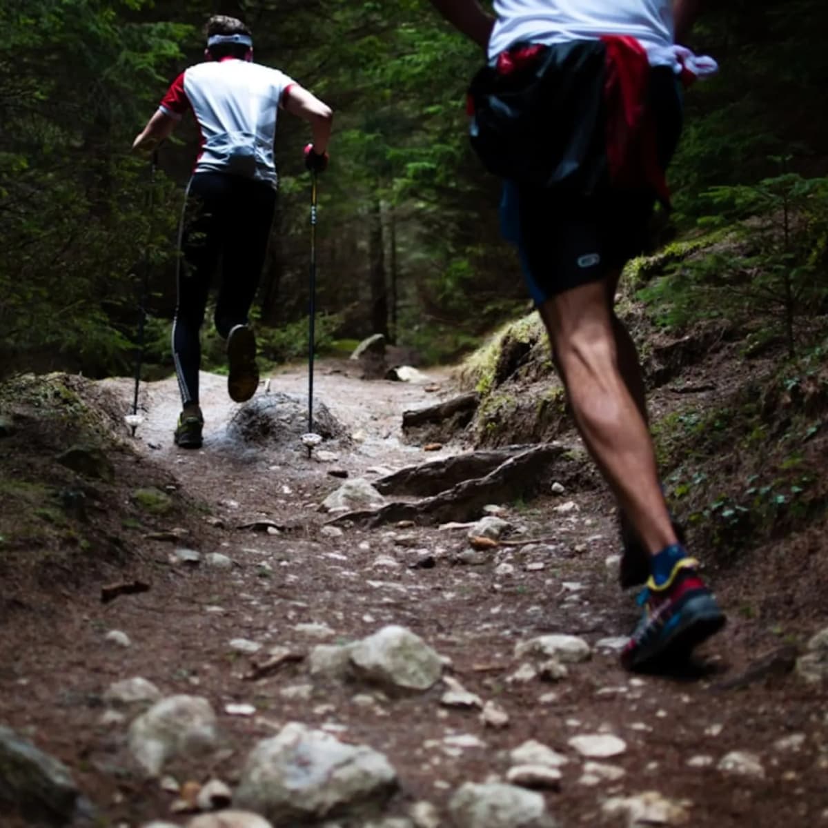 Complete trail marathon