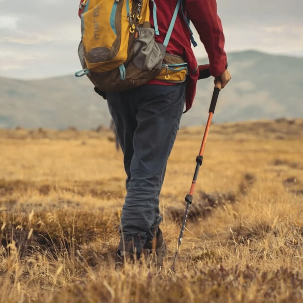 Learn Nordic walking