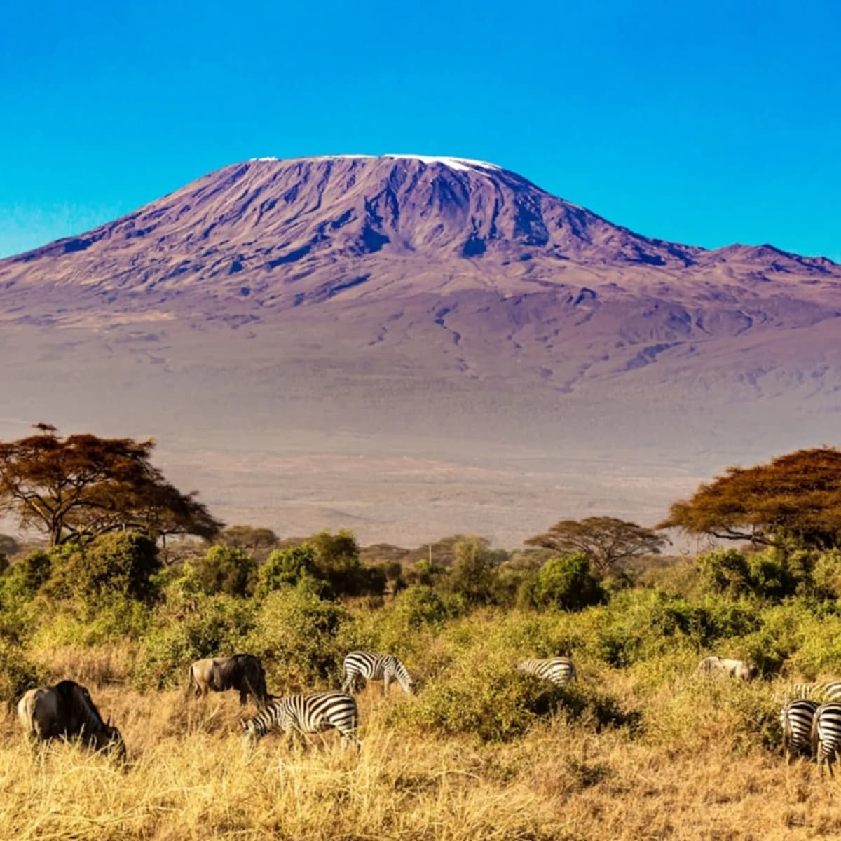 Climb Mount Kilimanjaro