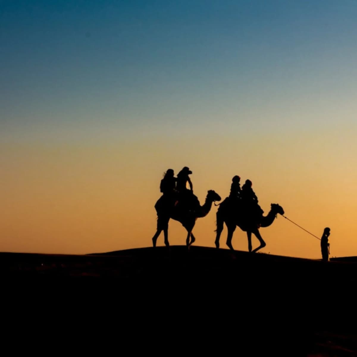 Cross a desert by camel