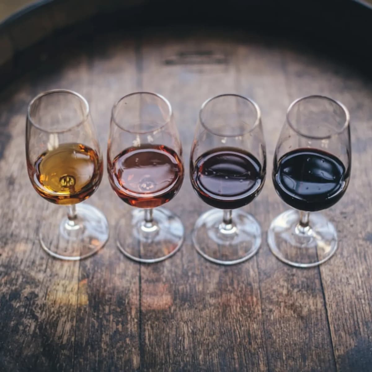 Drink porto wine in Porto
