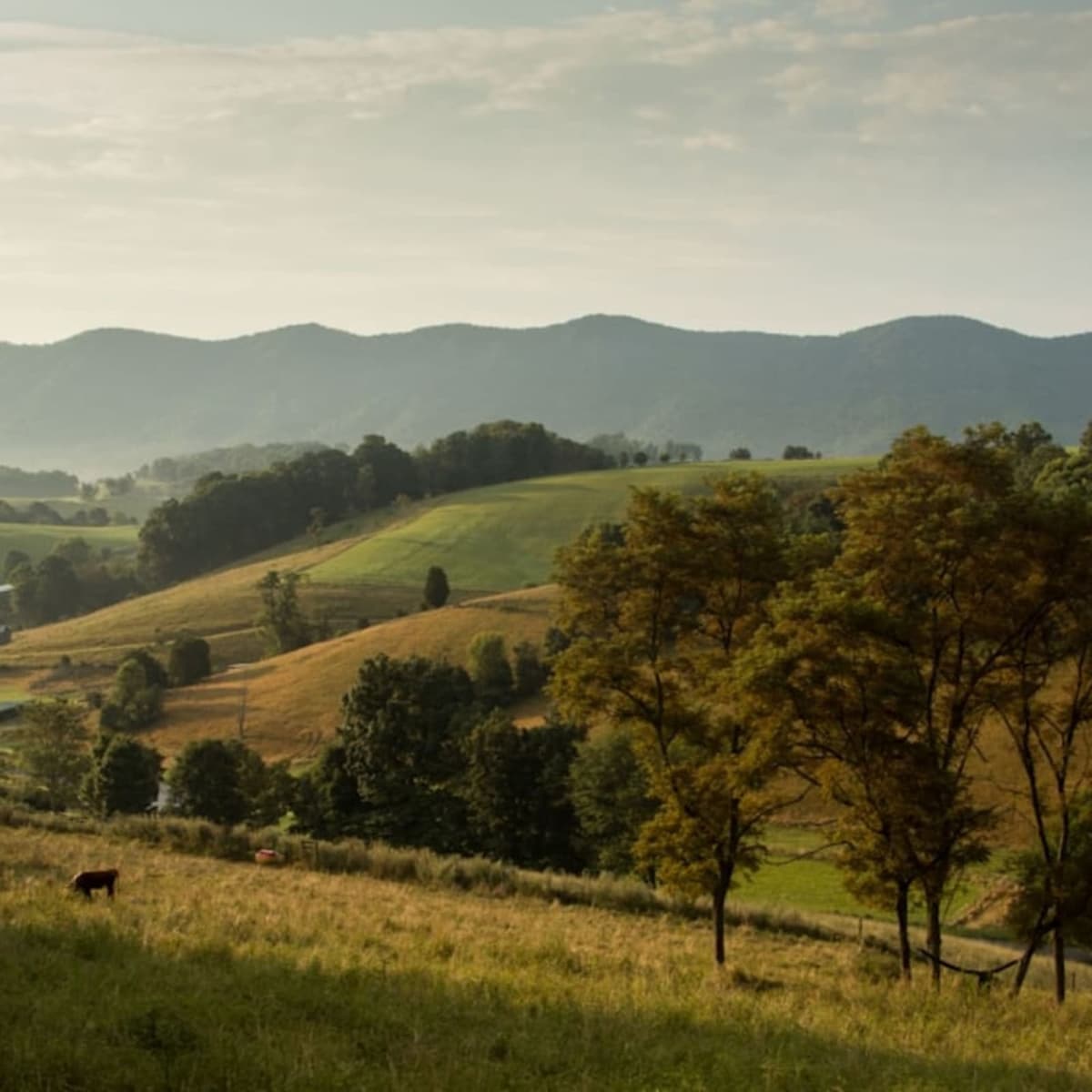 Visit Virginia