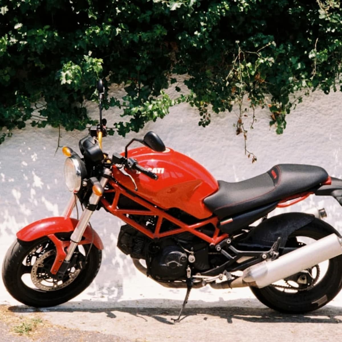 Ride a motorcycle