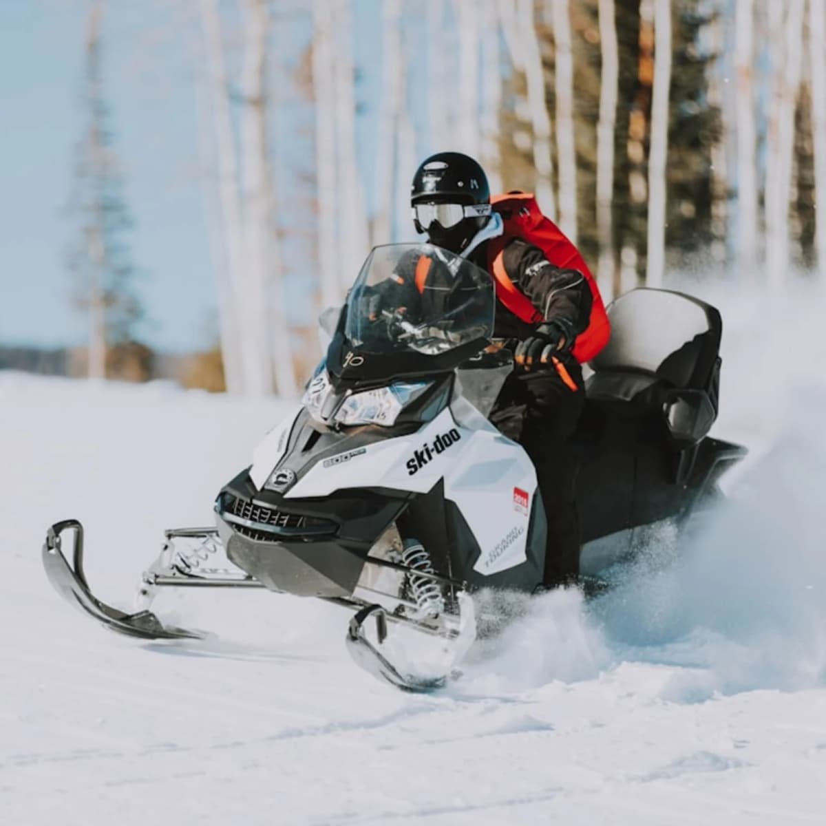 Ride a snowmobile