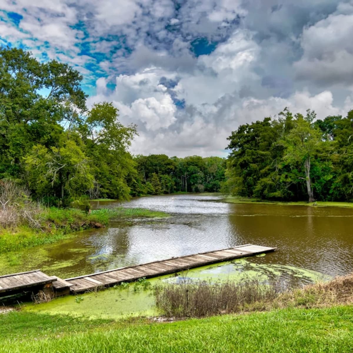 Visit Louisiana