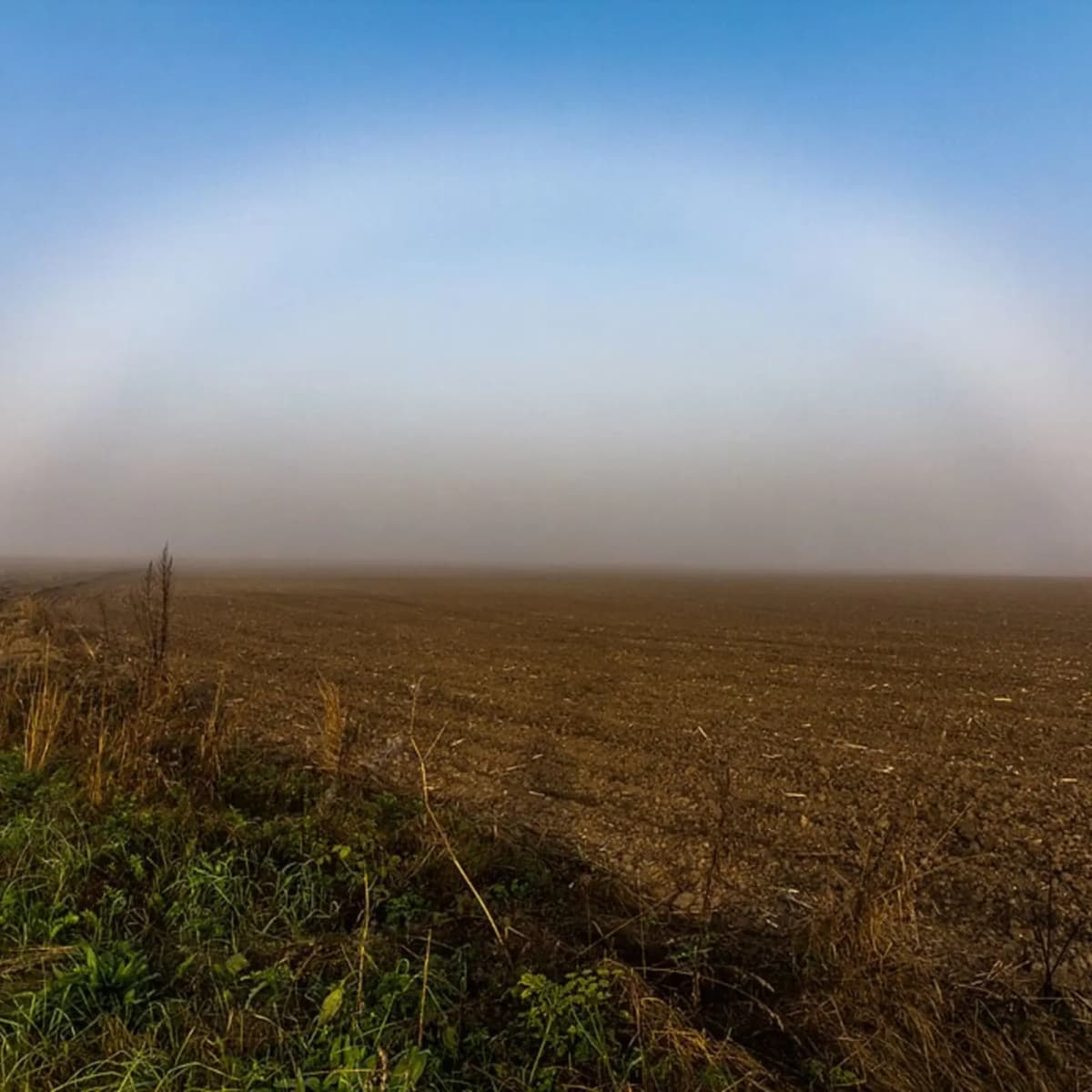 See a fog bow
