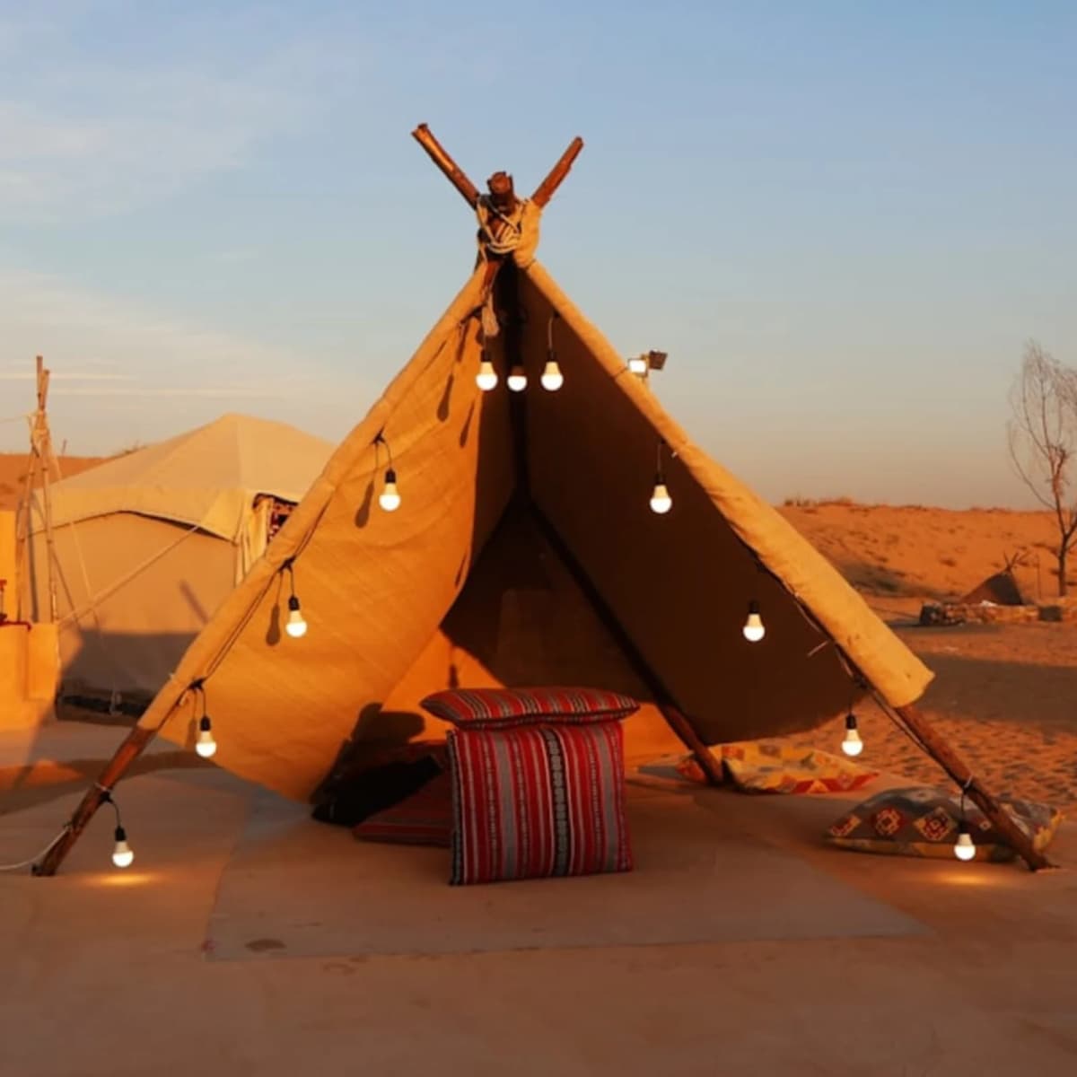 Sleep in the desert