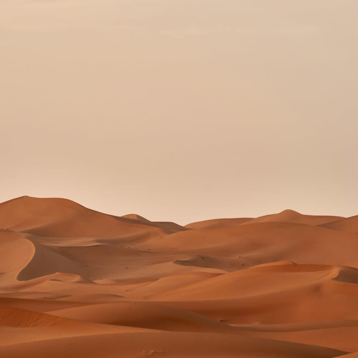 Experience desert silence